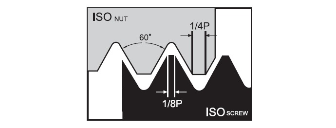 p12TMS-ISO